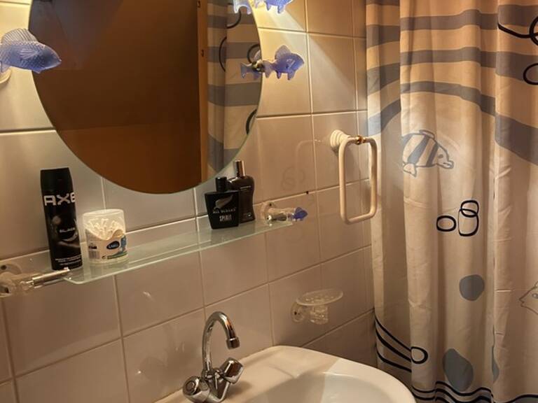 Maison à vendre 2 pièces MAGNAC LAVAL (87) — photo 1