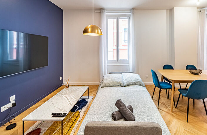 VILLEURBANNE - GRATTE CIEL -  T2 de 51 m² vendu entièrement meublé – Proche métro — photo 4