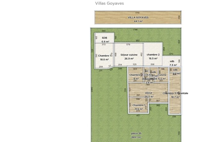 SAINTE CLOTILDE (97490) - A vendre 2 maisons mitoyennes T3 + T4 sur parcelle de 501 m² — photo 2