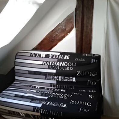 Appartement 1 pièces 480 €