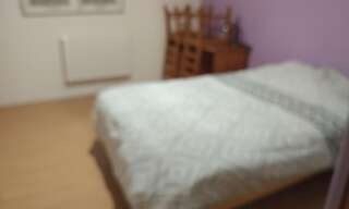 Appartement 1 Pièce 140 m² à louer à Péron (01630)