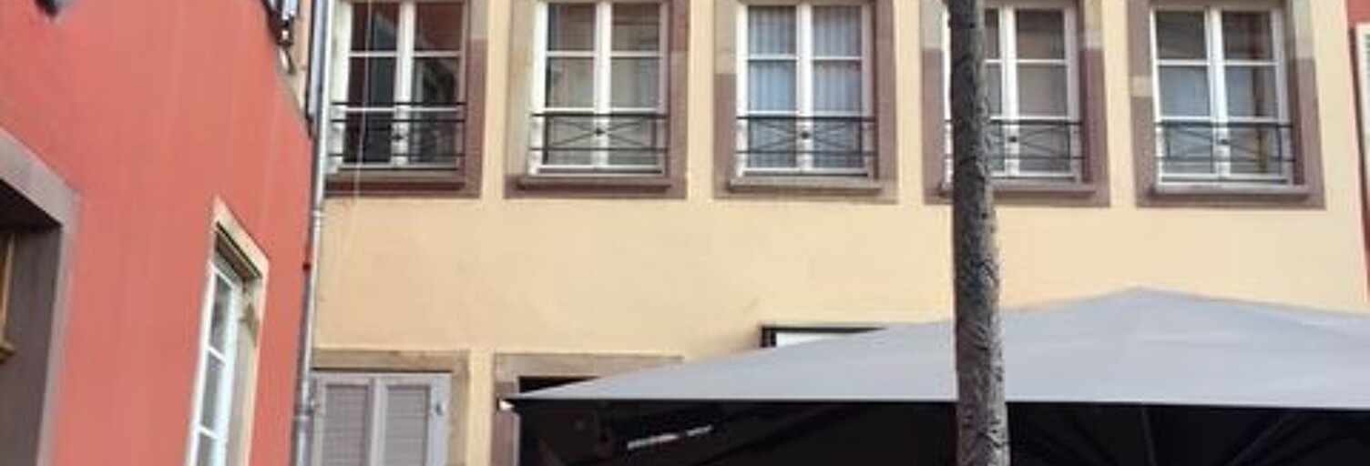 Appartement 1 Pièce 20 m² à louer à Strasbourg (67000)