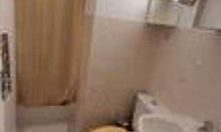 Appartement 1 Pièce 19 m² à louer à Toulouse (31000)