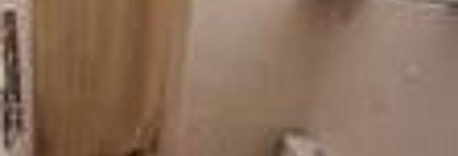 Appartement 1 Pièce 19 m² à louer à Toulouse (31000)