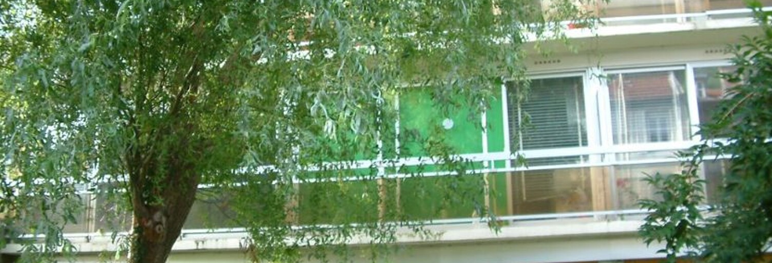 Appartement 1 Pièce 24 m² à louer à Nancy (54000)