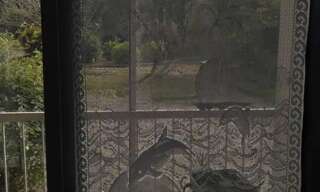 Appartement 1 Pièce 31 m² à louer à Roscoff (29680)