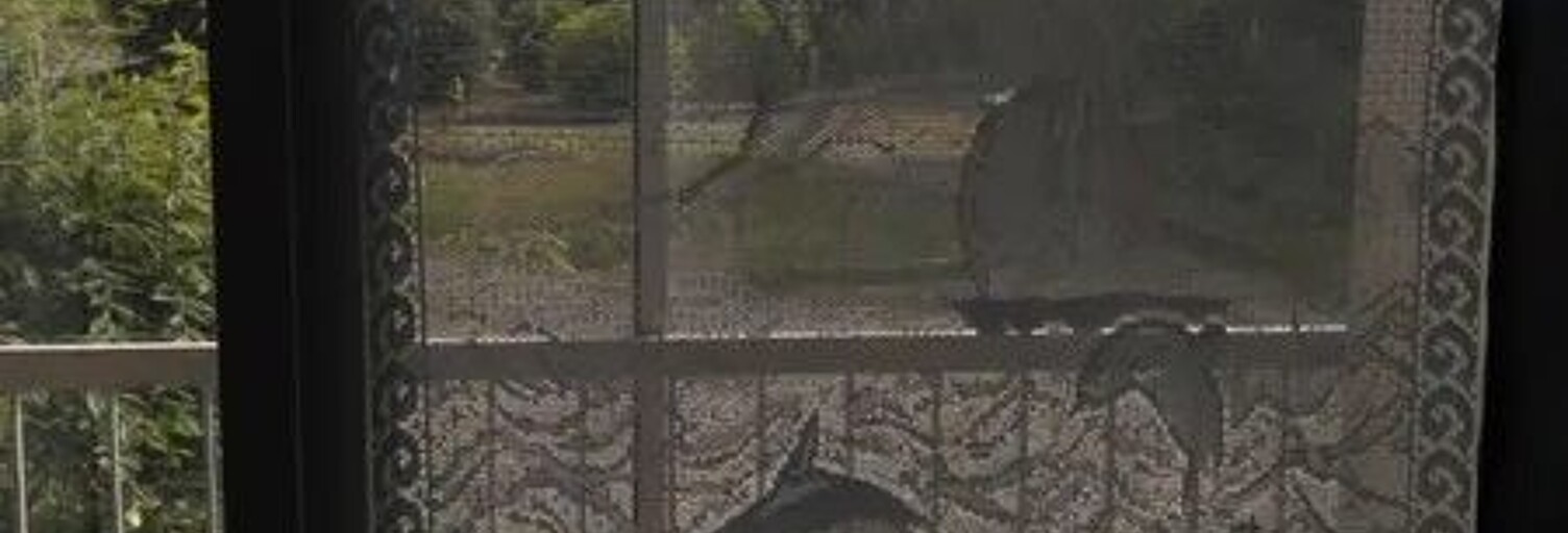 Appartement 1 Pièce 31 m² à louer à Roscoff (29680)