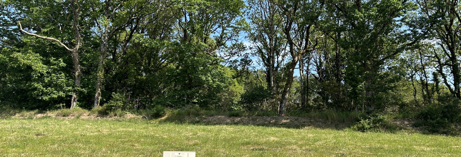 Terrain  387 m² à vendre à Muzillac (56190)