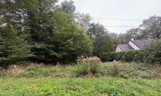 Terrain  1562 m² à vendre à Saint-Fargeau (89170)