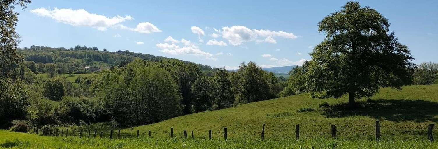 Terrain  1505 m² à vendre à Molles (03300)