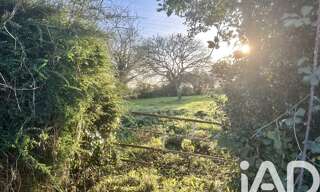 Terrain  970 m² à vendre à Picauville (50360)