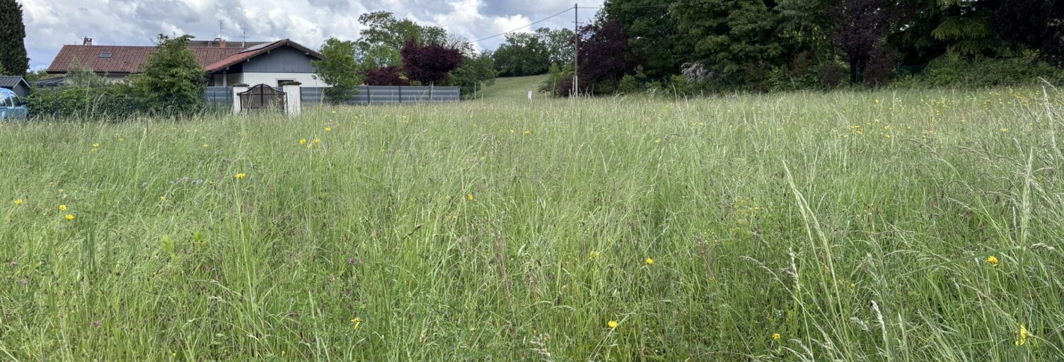 Terrain  861 m² à vendre à Perrignier (74550)