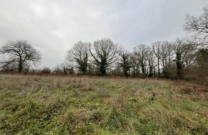 Vente terrain  9440 m² Saint-Junien (87200) — photo 2