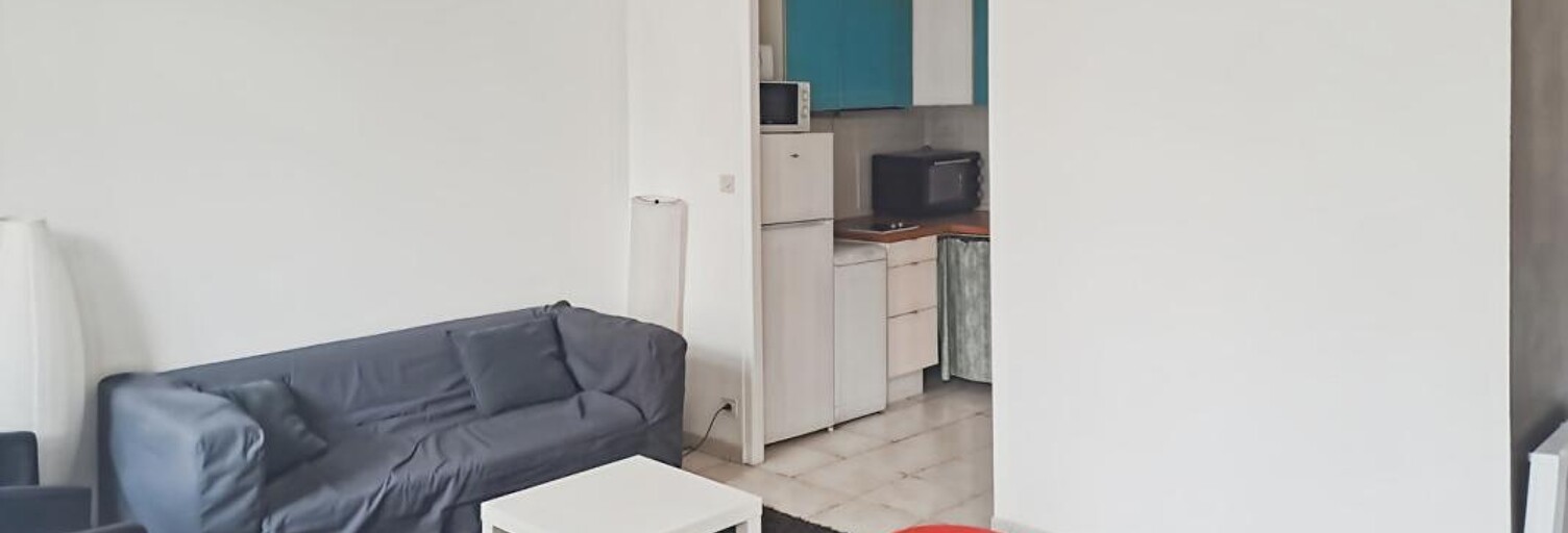 Appartement 1 Pièce 29 m² à vendre à Nantes (44100)