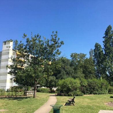 Appartement 1 pièces 600 €