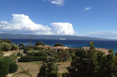 Appartement 2 pièces 710 €