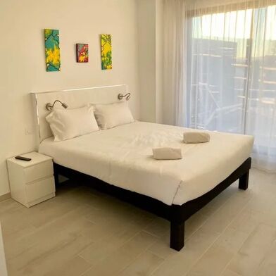 Appartement 1 pièces 850 €