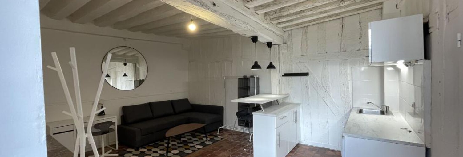 Appartement 1 Pièce 25 m² à louer à Orléans (45000)