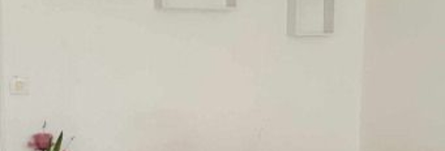 Appartement 1 Pièce 20 m² à louer à Thiais (94320)