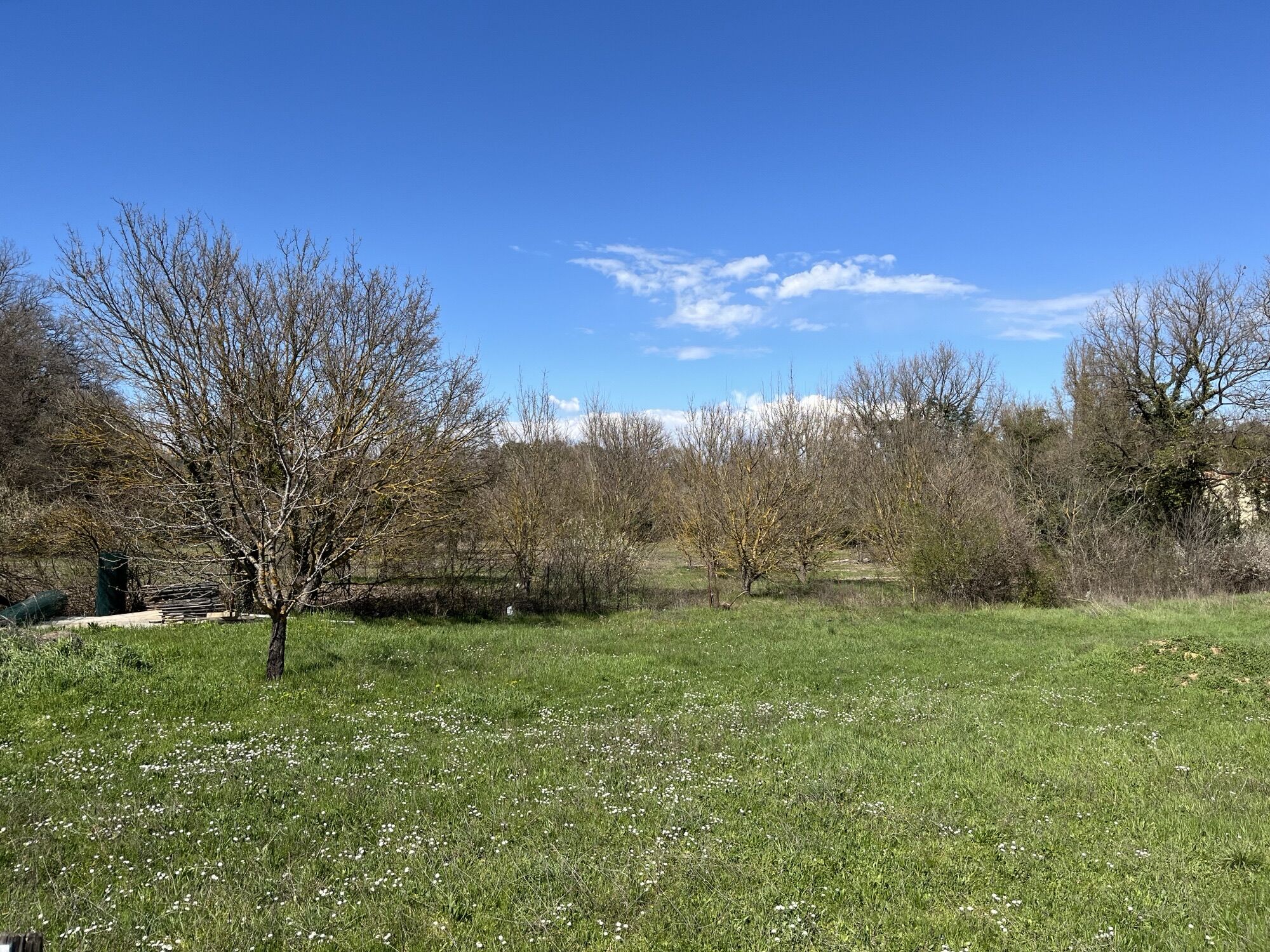 Saint-Maximin-la-Sainte-Baume Terrain à bâtir 1280 m²