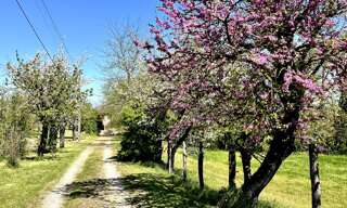 Maison 6 Pièces 215 m² à vendre à Saint-Benoît-de-Carmaux (81400)