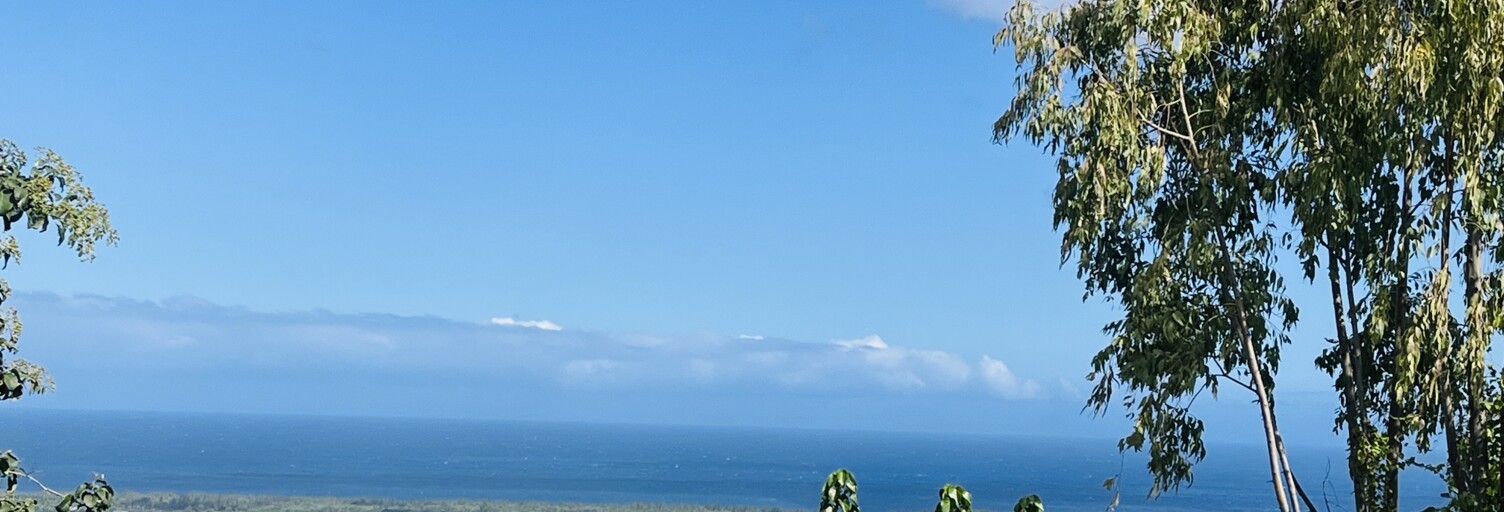 Appartement 3 Pièces 63 m² à louer à L'Étang-Salé (97427)