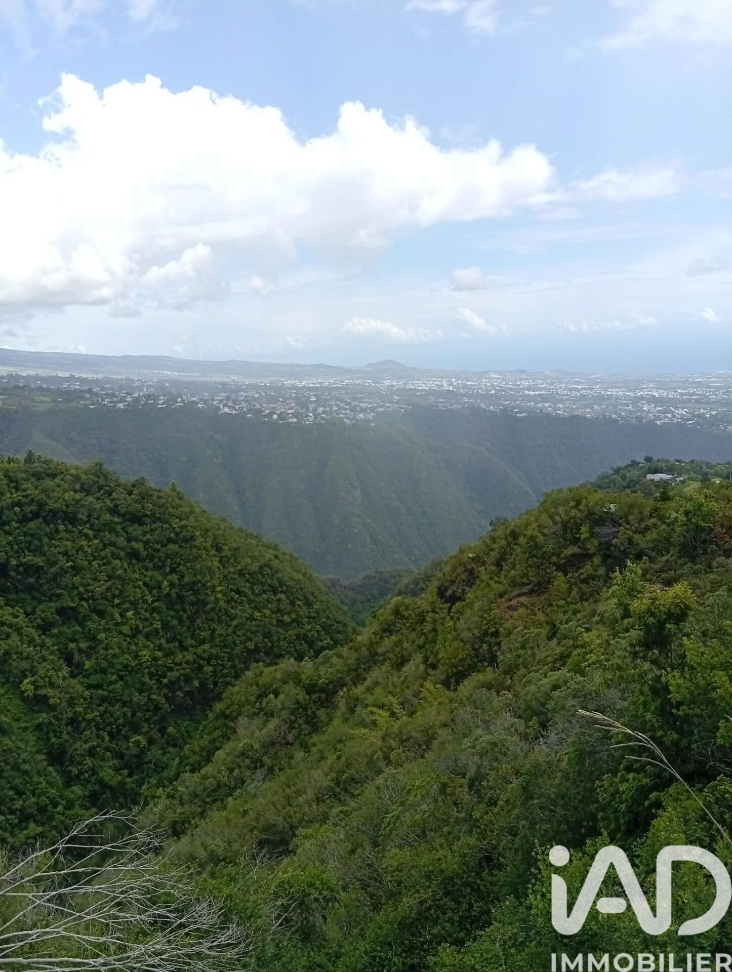 Entre-Deux - 16014m²