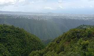 Terrain  16014 m² à vendre à Entre-Deux (97414)