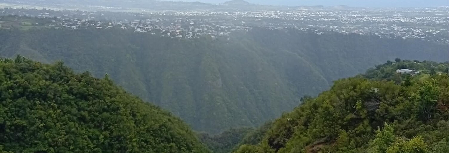 Terrain  16014 m² à vendre à Entre-Deux (97414)