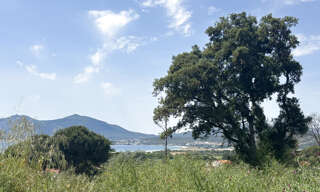 Terrain  746 m² à vendre à Albitreccia (20166)