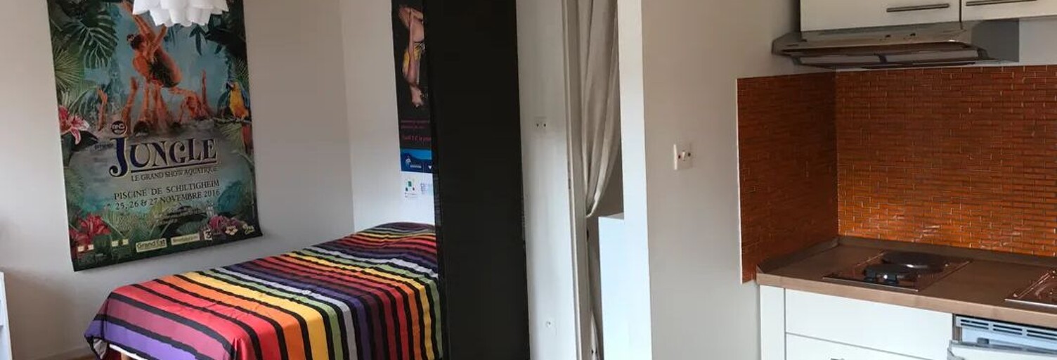 Appartement 1 Pièce 29 m² à louer à Strasbourg (67000)