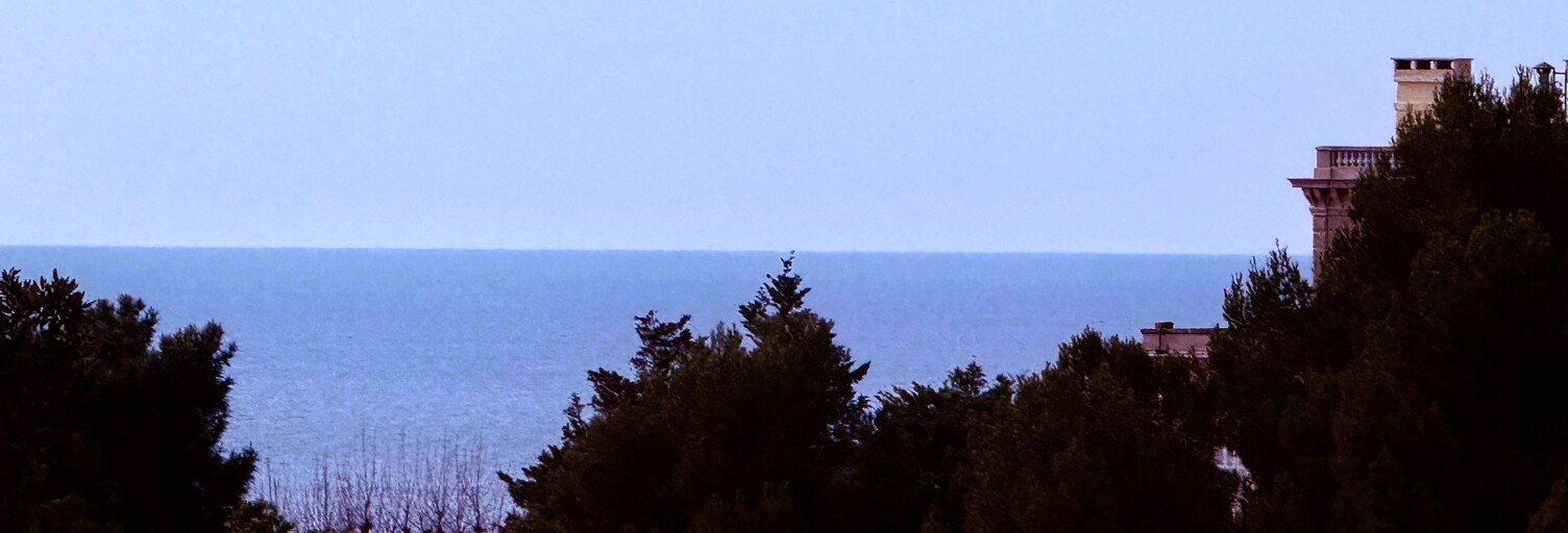 Appartement 1 Pièce 40 m² à vendre à Marseille 8 (13008)