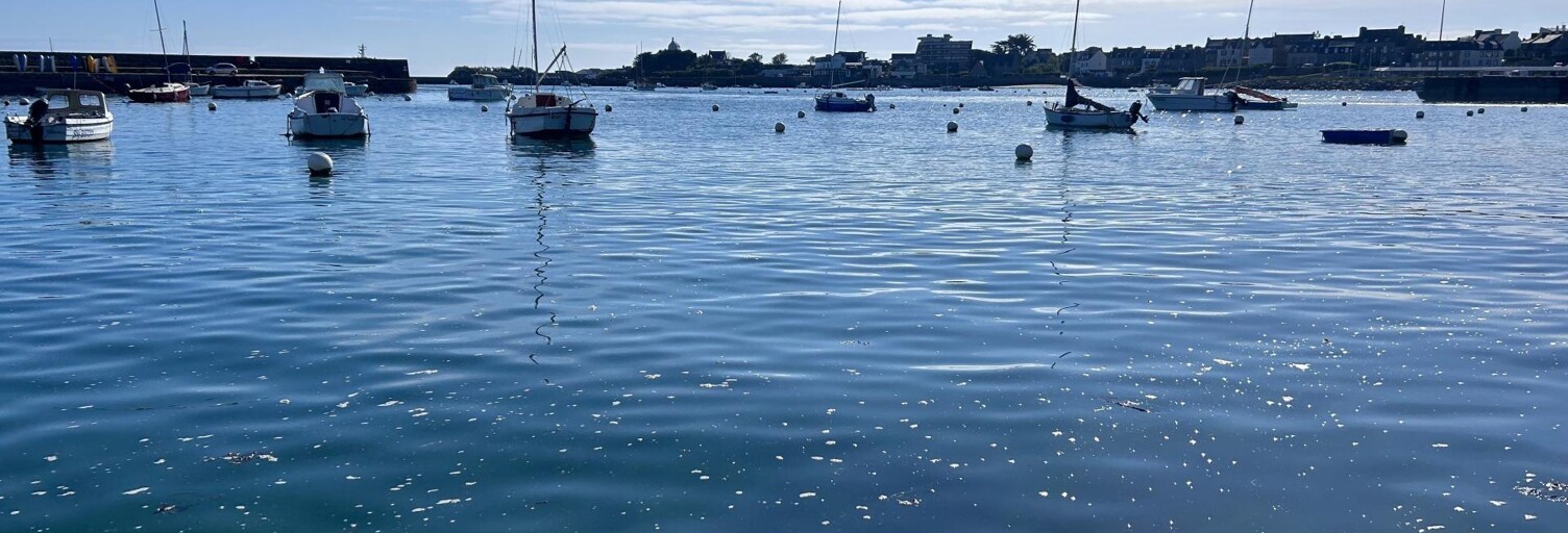 Terrain  656 m² à vendre à Roscoff (29680)