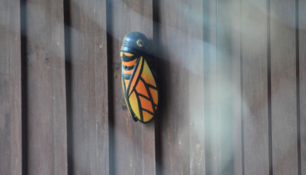 Villa / Maison 5 pièces  à vendre Arles-sur-Tech 66150