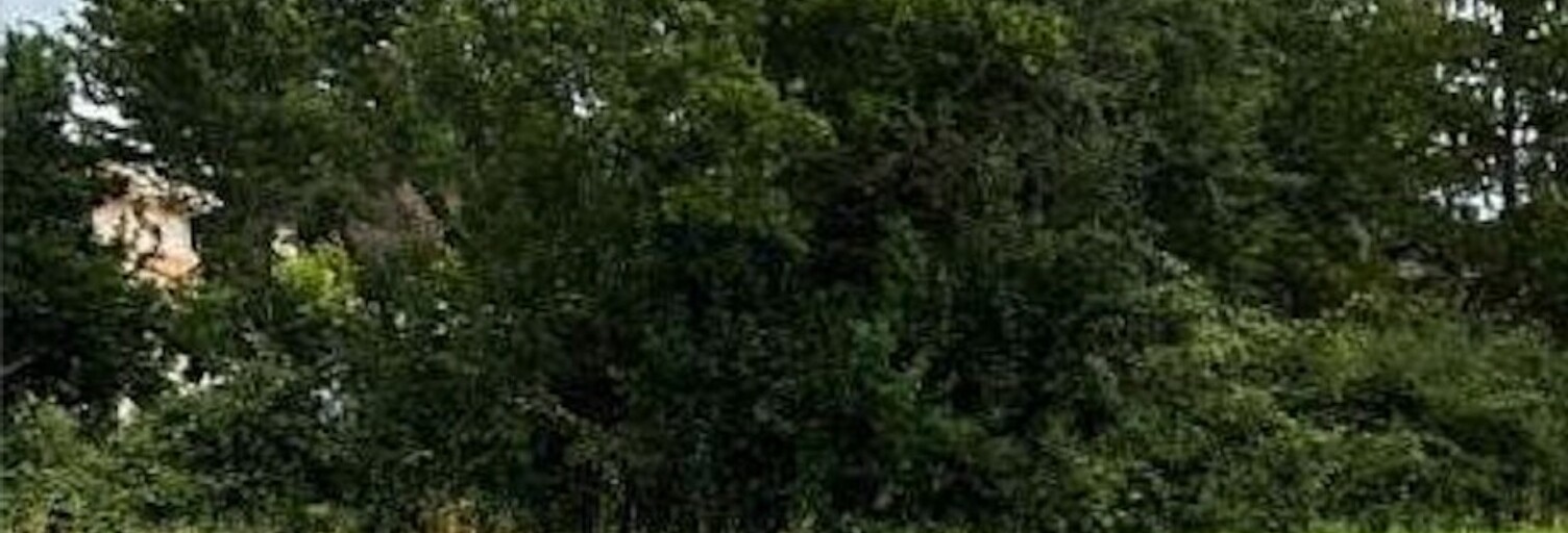 Terrain  1200 m² à vendre à Pineuilh (33220)