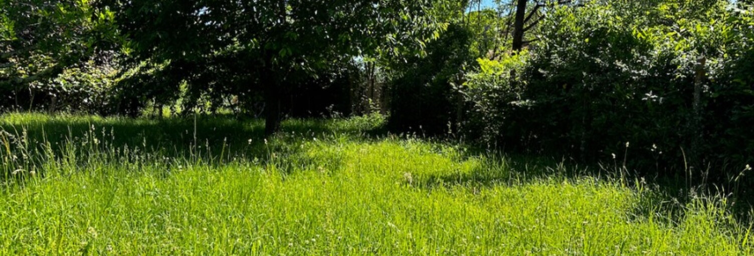 Terrain  600 m² à vendre à Branne (33420)