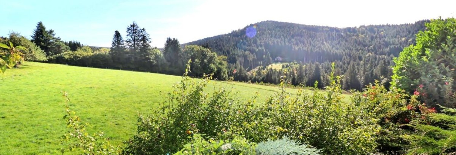 Maison 6 Pièces 110 m² à vendre à Liézey (88400)