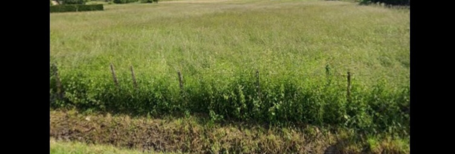 Terrain  1200 m² à vendre à Pugnac (33710)