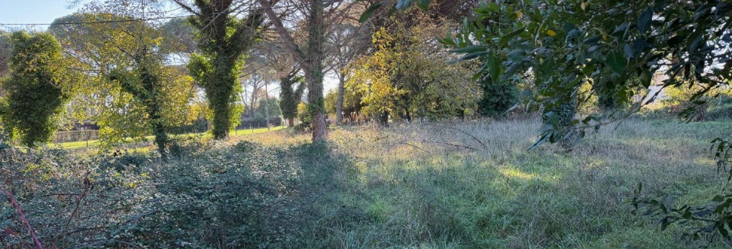 Terrain  1083 m² à vendre à Langon (33210)