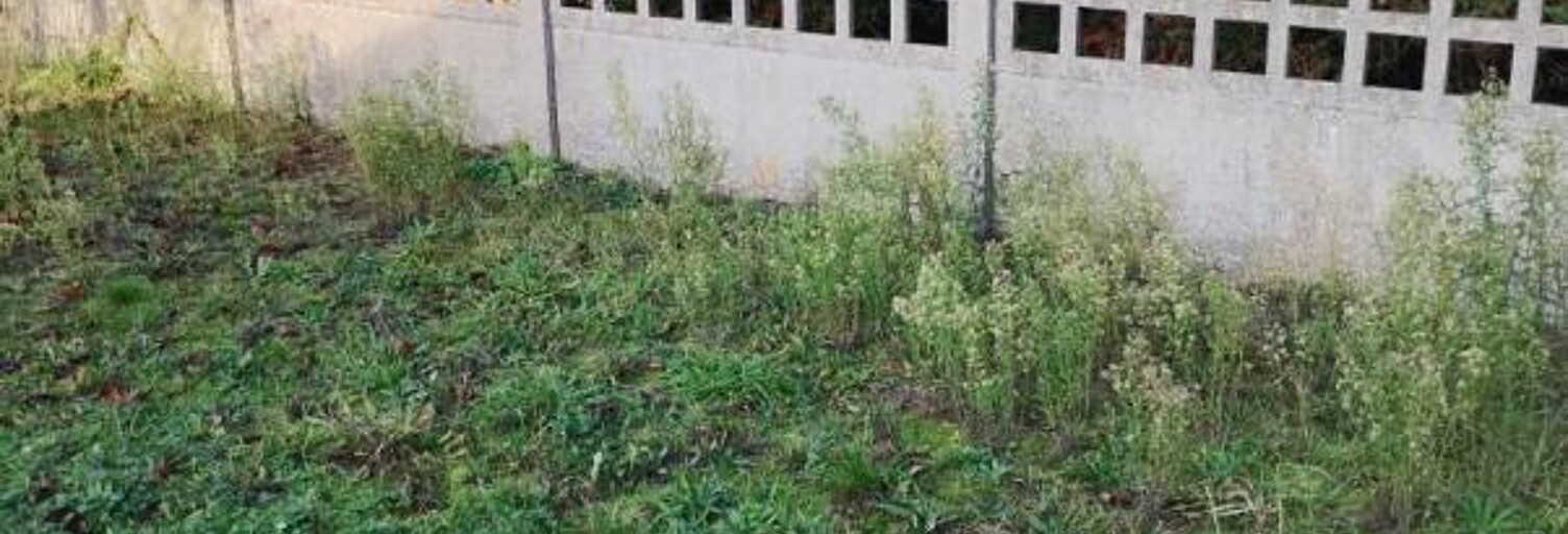 Appartement 2 Pièces 50 m² à louer à Montmorency (95160)