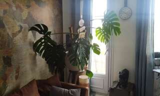 Appartement 4 Pièces 70 m² à louer à Toulouse (31000)