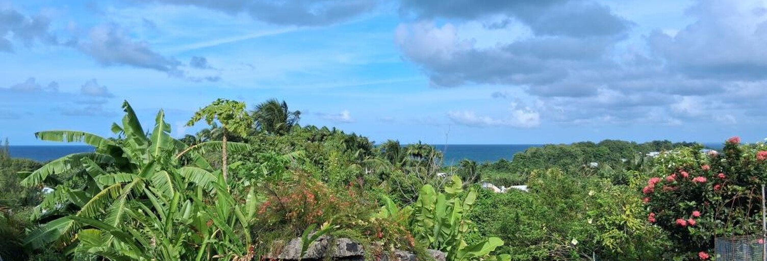 Maison 4 Pièces 227 m² à vendre à Sainte-Rose (97115)