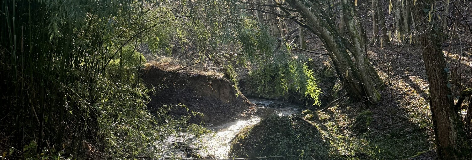 Maison 5 Pièces 137 m² à vendre à Orliénas (69530)