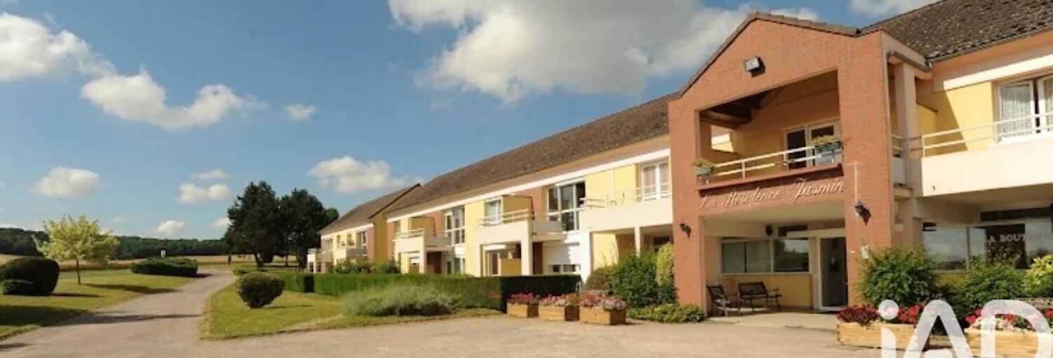 Appartement 1 Pièce 33 m² à vendre à Thorigny-sur-Oreuse (89260)