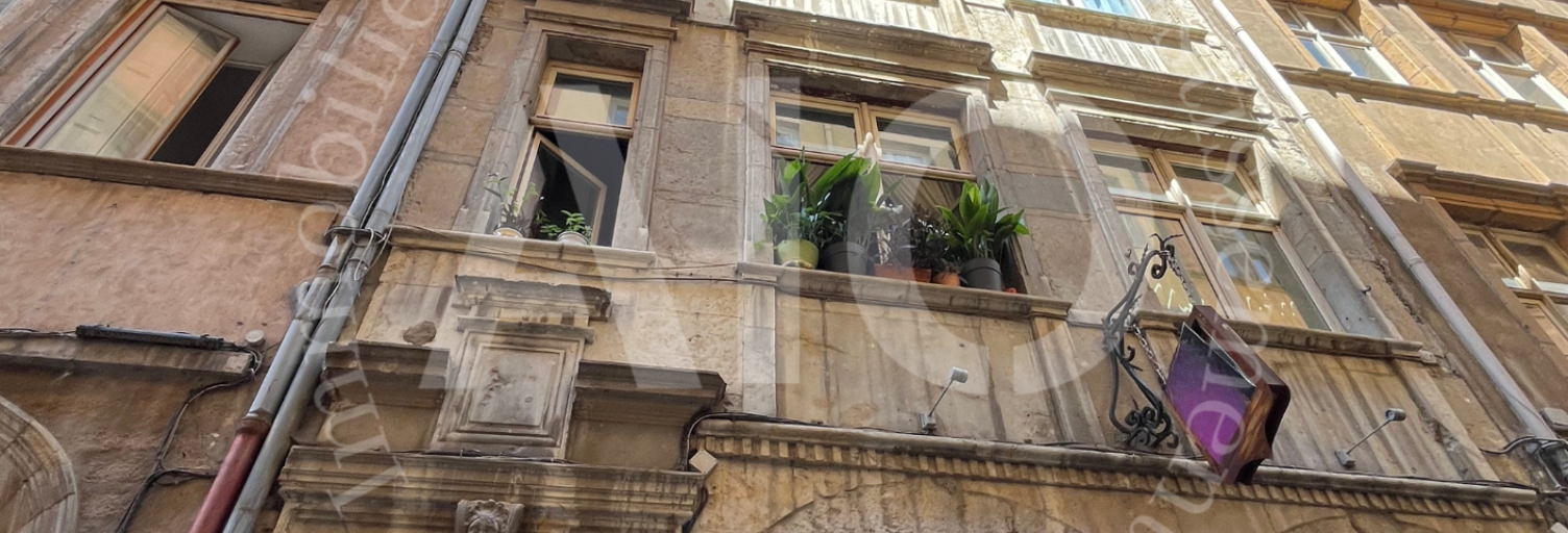 Divers  149 m² à vendre à Lyon 5 (69005)