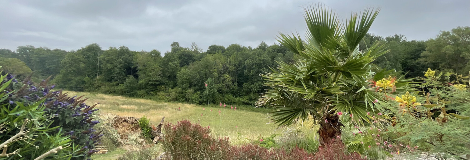 Maison 8 Pièces 235 m² à vendre à Fanjeaux (11270)