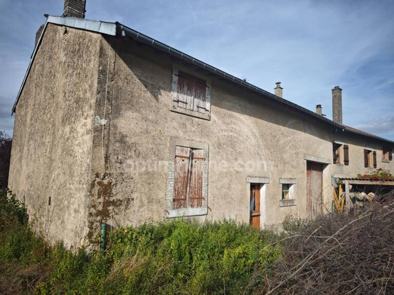 Maison à rénover 3 pièces, grange et terrain à GRIMAUCOURT EN WOEVRE (55) — photo 1