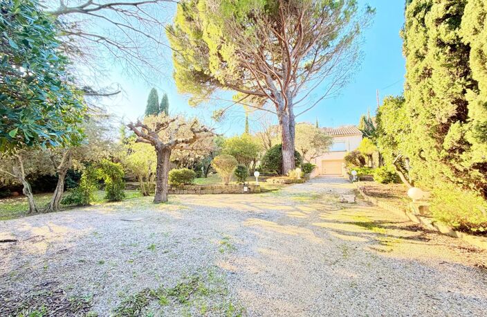 Maison LES ANGLES 232m2 sur 1700m2 de terrain — photo 3