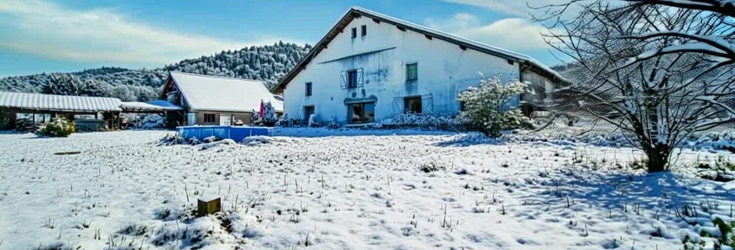 Maison 9 Pièces 209 m² à vendre à Rupt-sur-Moselle (88360)