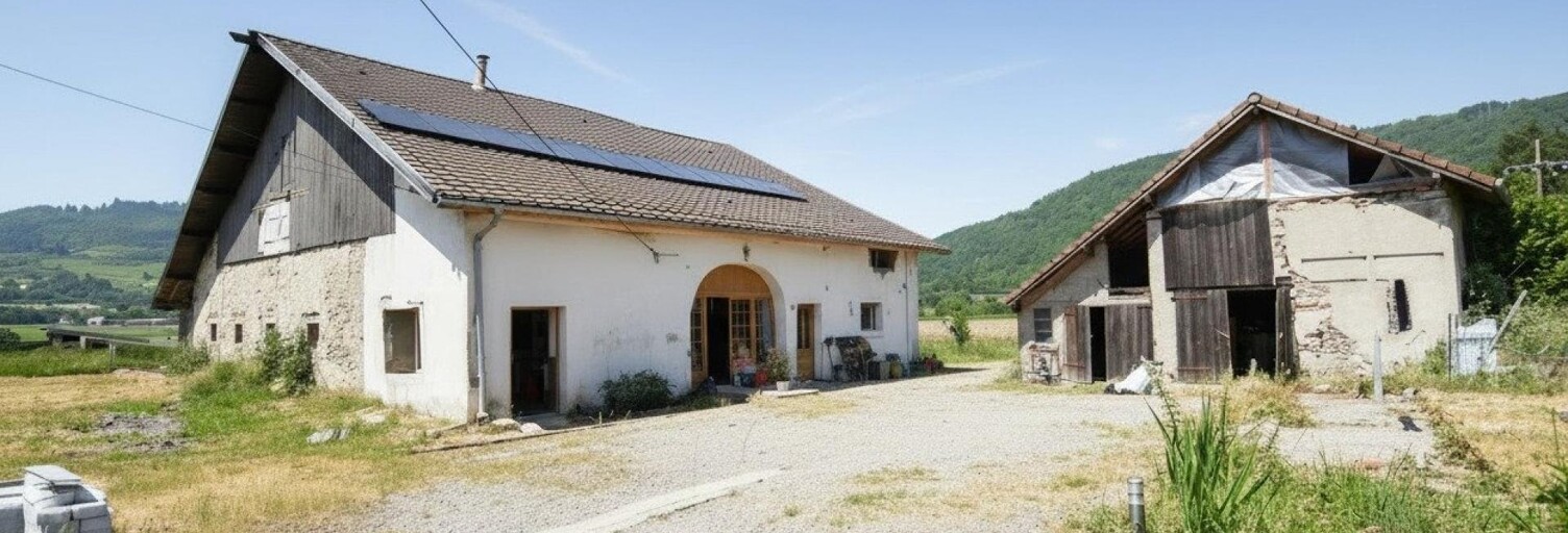 Maison 9 Pièces 209 m² à vendre à Rupt-sur-Moselle (88360)